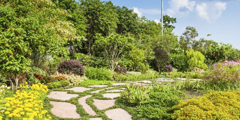 Trädgårdsskötsel & Finplanering